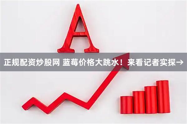 正规配资炒股网 蓝莓价格大跳水！来看记者实探→